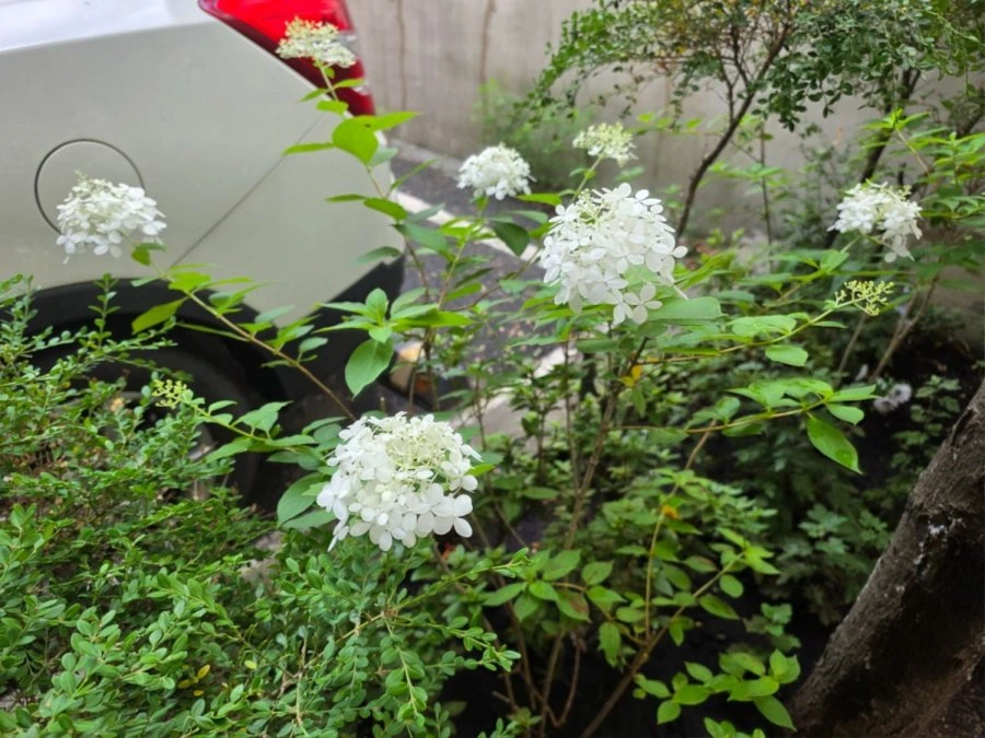 900w_20260711115355_2mpUPGCr88 (1).jpg