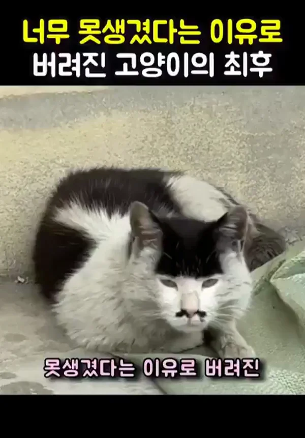 20260404164855_NmLip1kXa4.webp