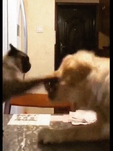 videoframe_7041.png