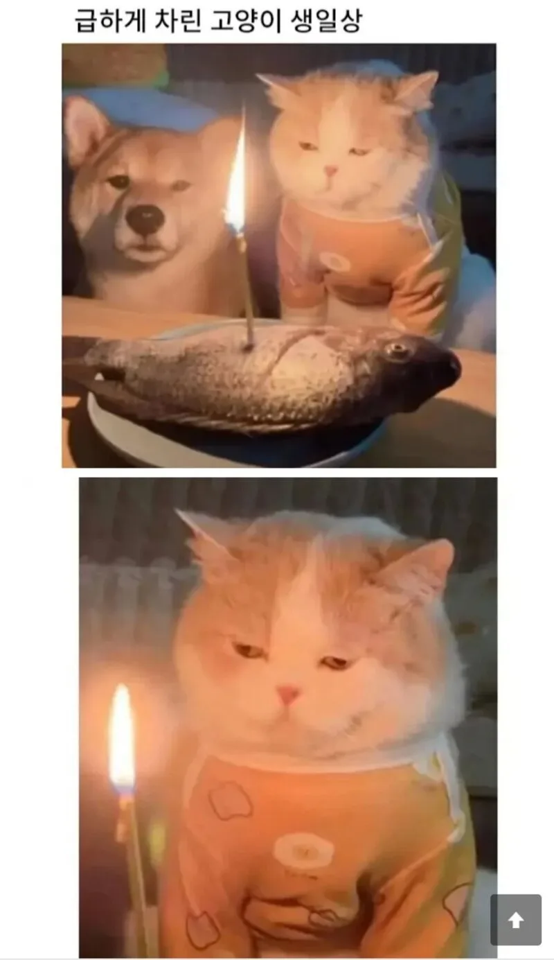 20260518111157_nqjuZljxni.jpeg