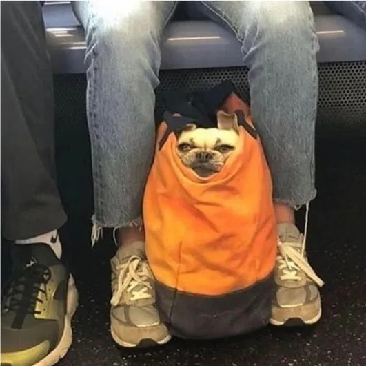 20260321053001_KpLuCNgeK7.jpeg