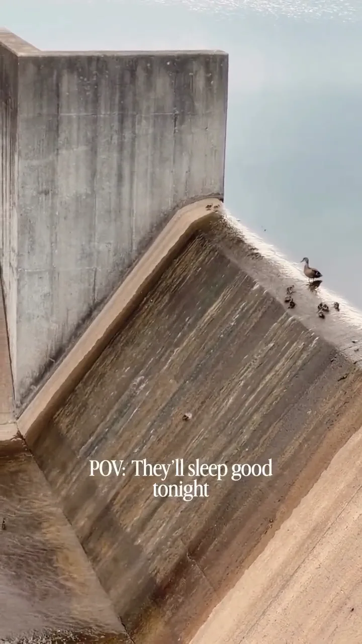 videoframe_8225.png