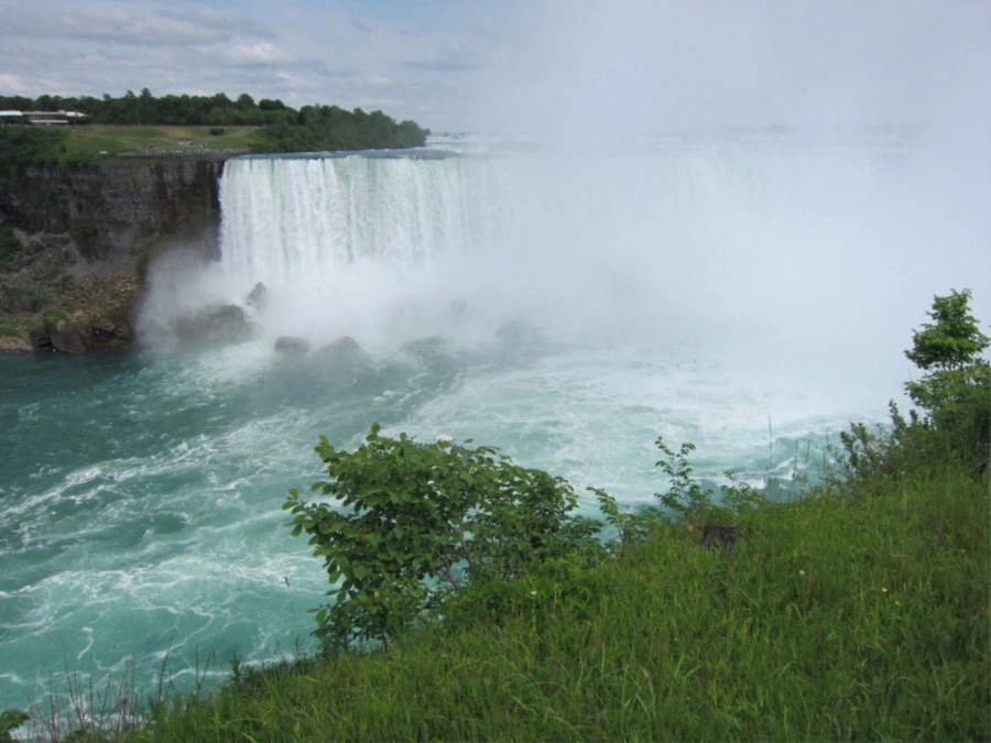 900w_20260608172404_x7OIKHlsrA.jpg