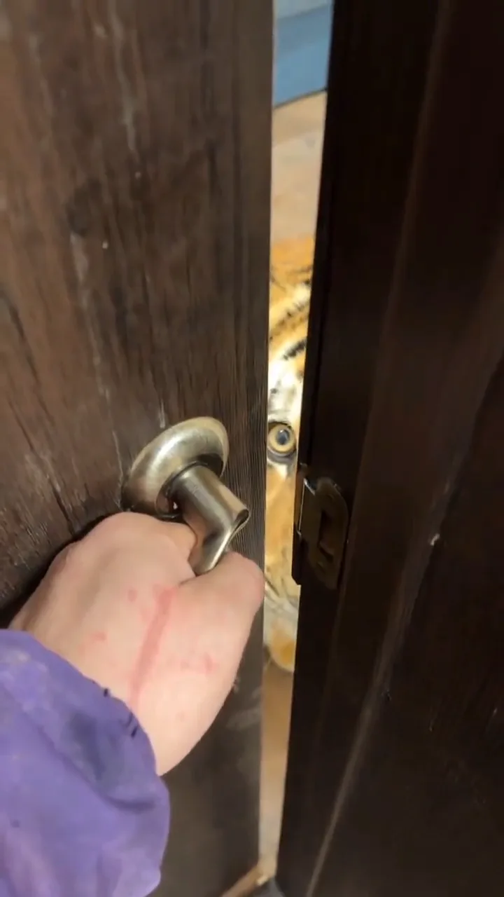 videoframe_6775 (1).png