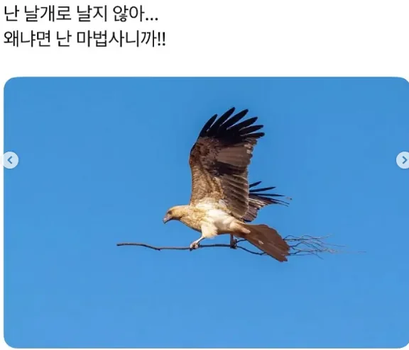 20260710221249_79ay5N6Sun.webp