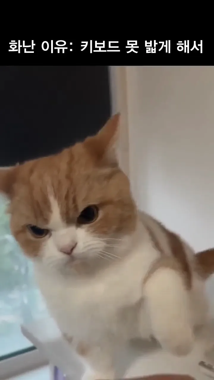 videoframe_9413.png