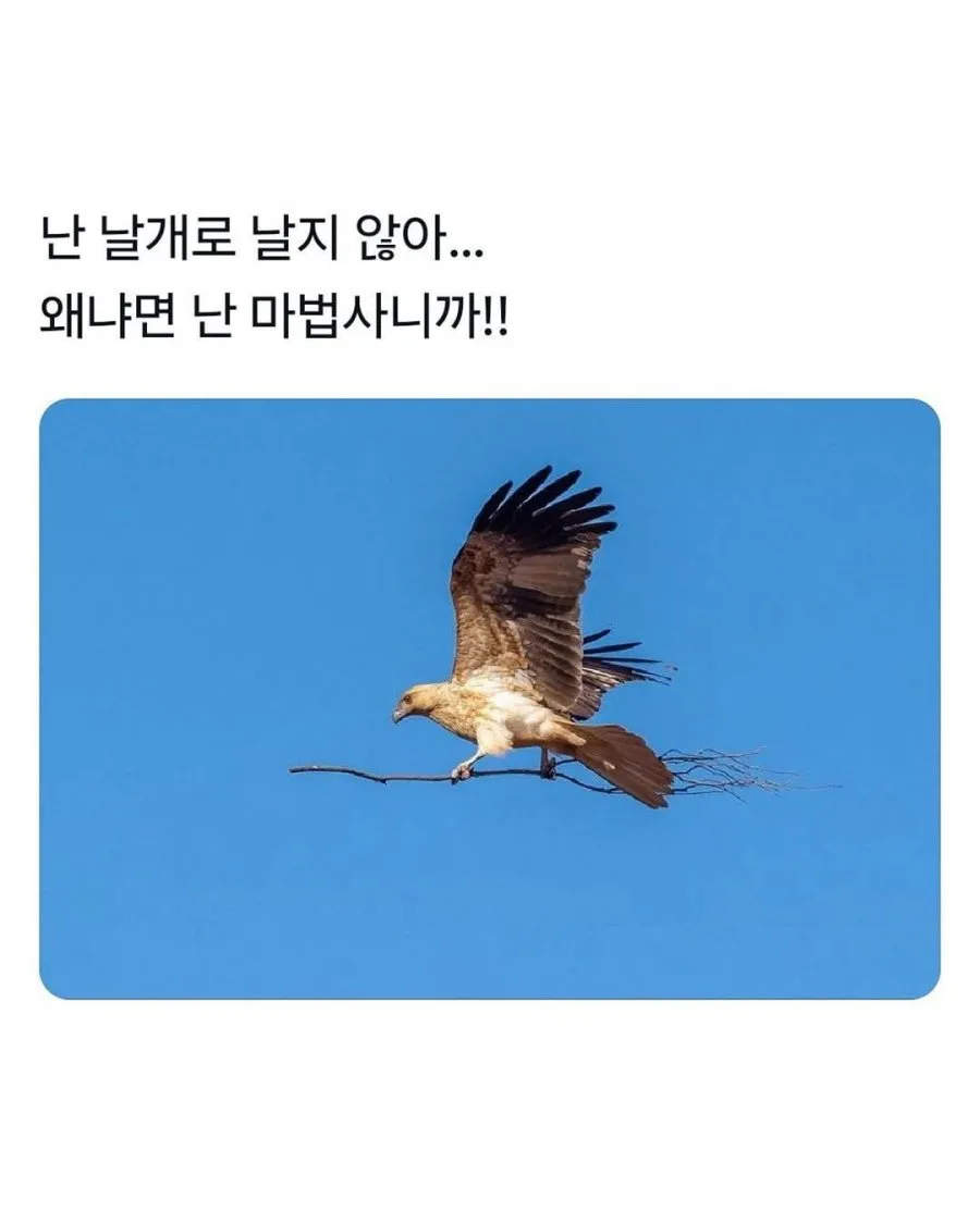 900w_20260316040056_N8WkAztUw4.jpeg