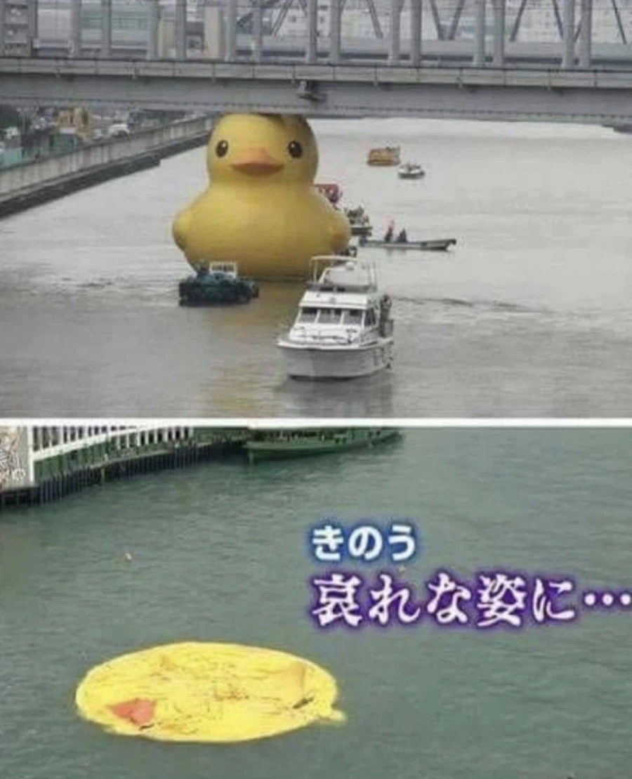 19d0e9e2e7d4b5f73.webp