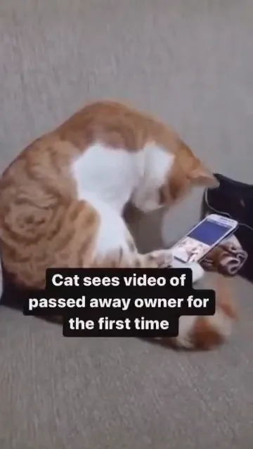 videoframe_5605.png