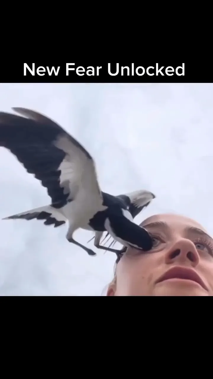 videoframe_7308.png