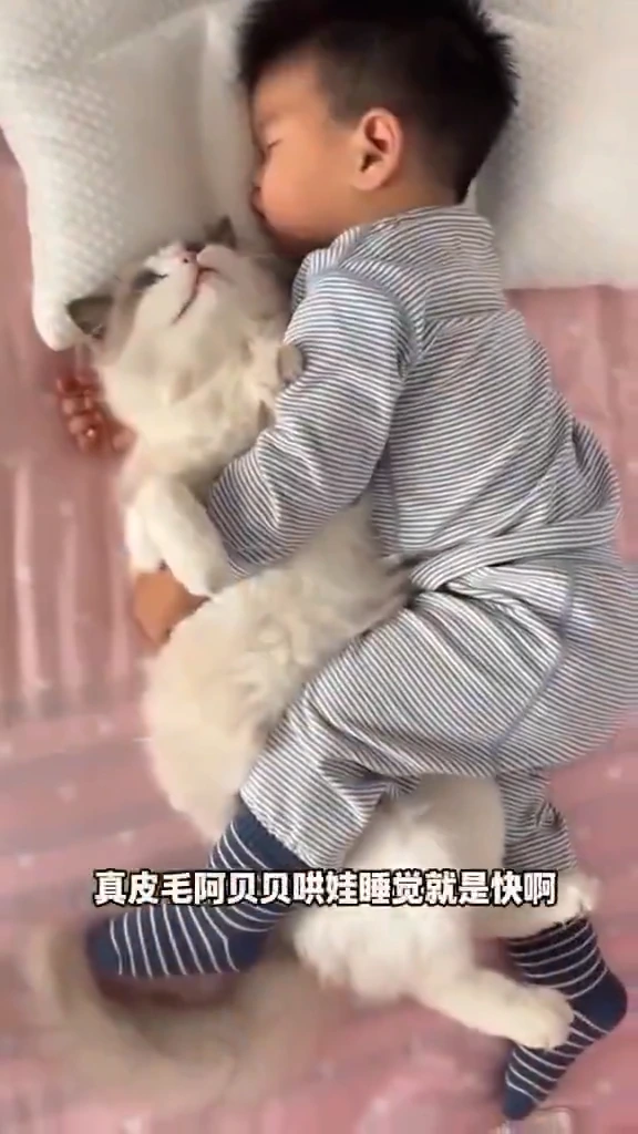 videoframe_25764.png
