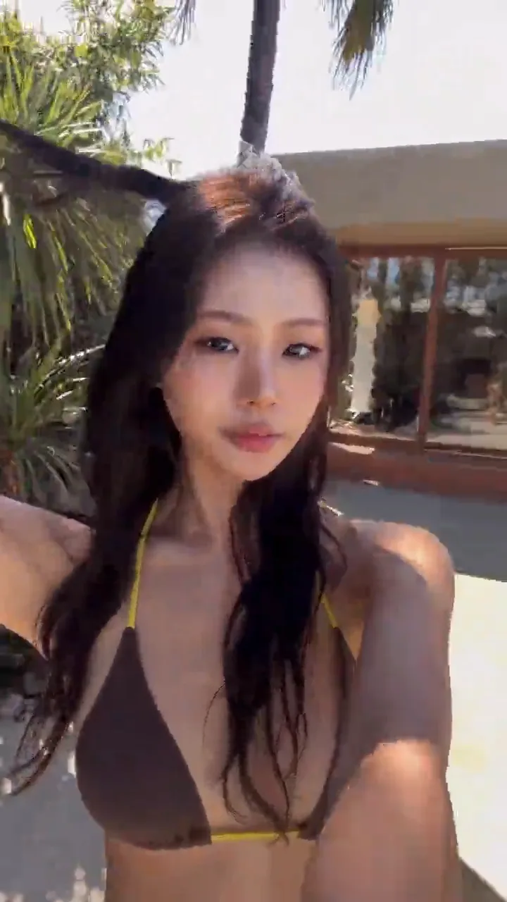 videoframe_1261.png