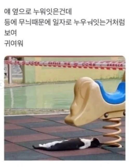 20260701205001_CwRFgAIvMF.png