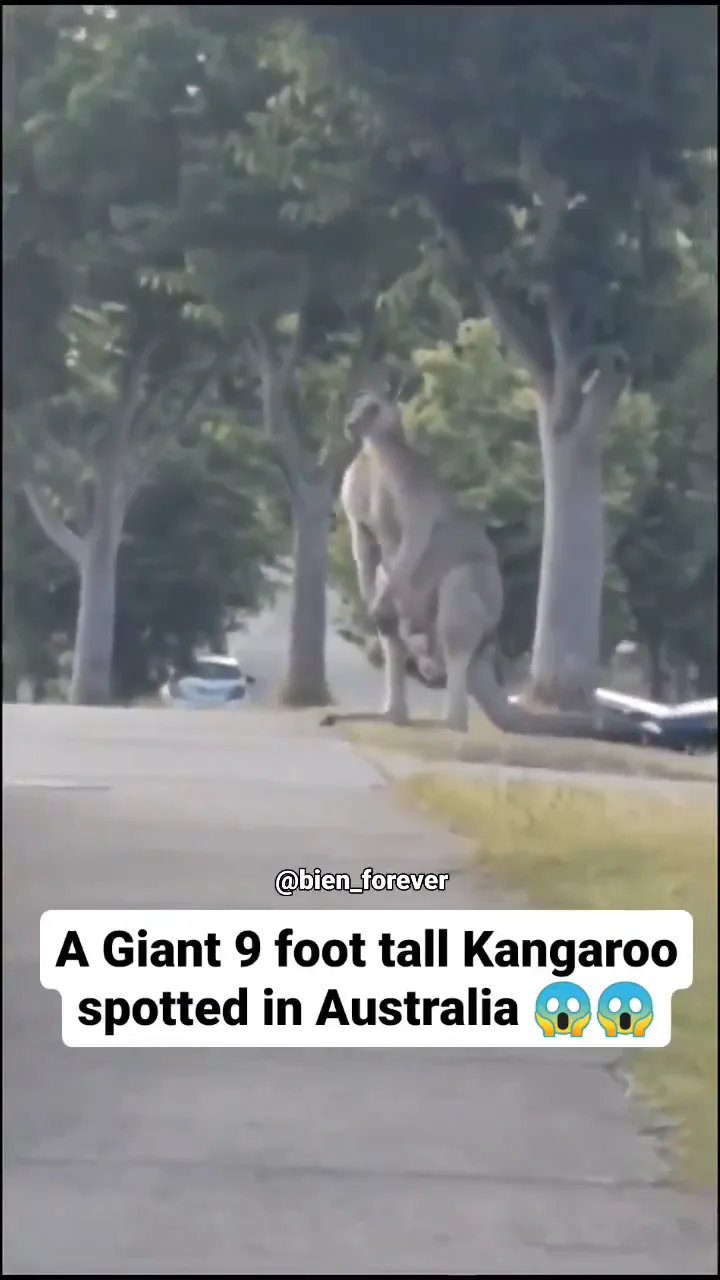 videoframe_12206.png
