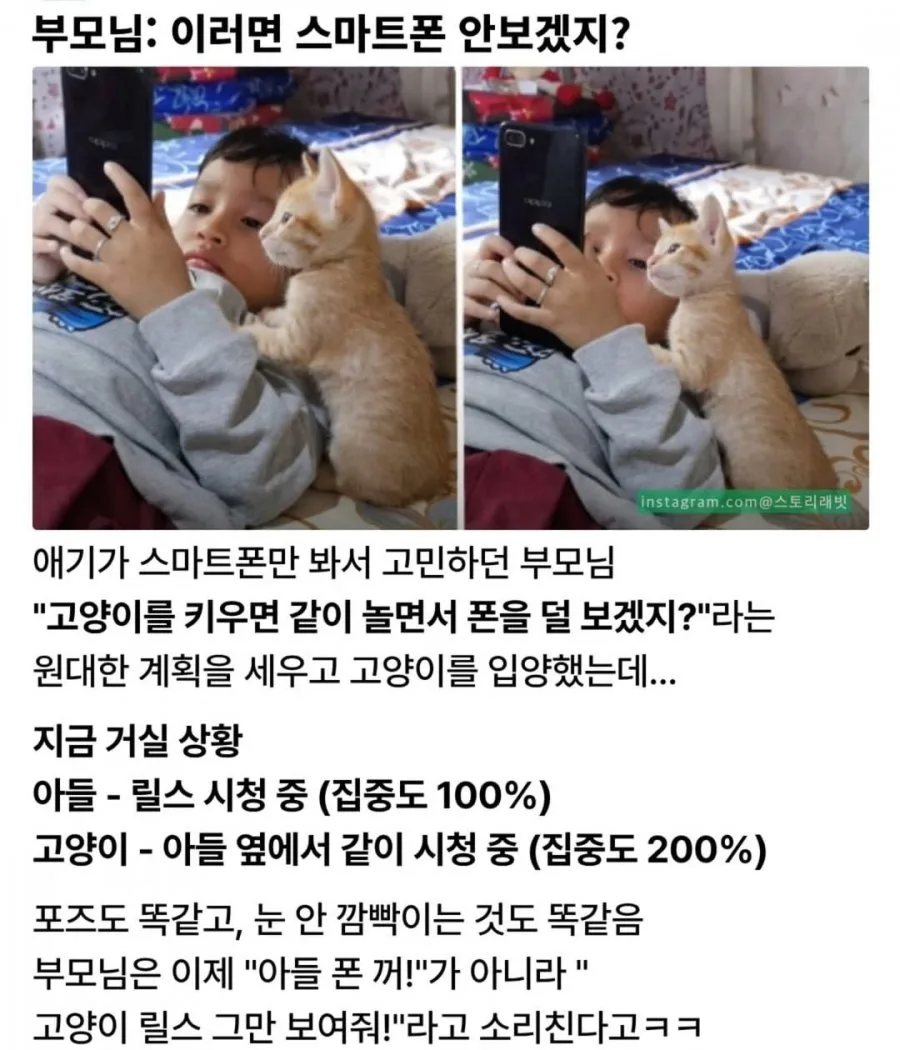 900w_20260401121642_Pi7RytlyyU.jpg