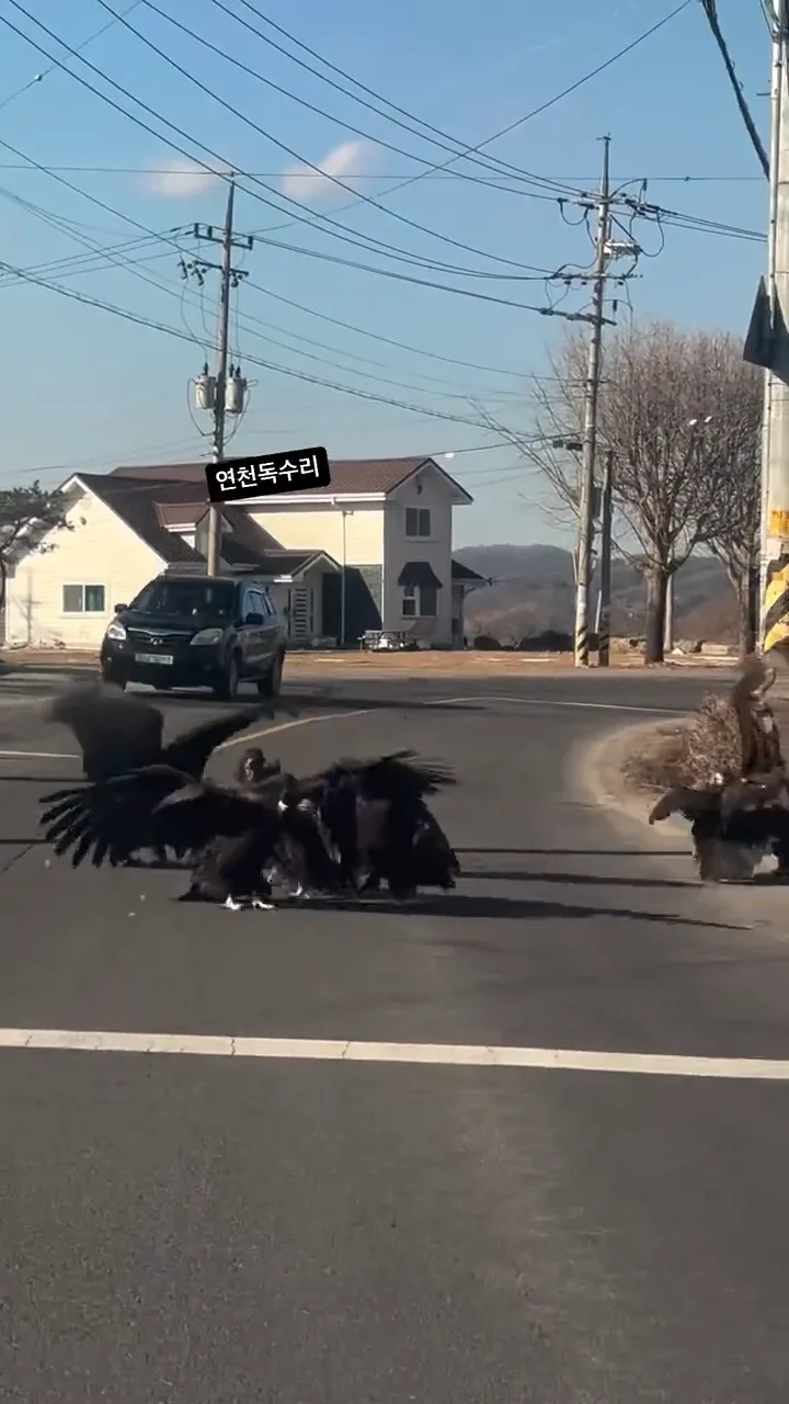 videoframe_3102.png