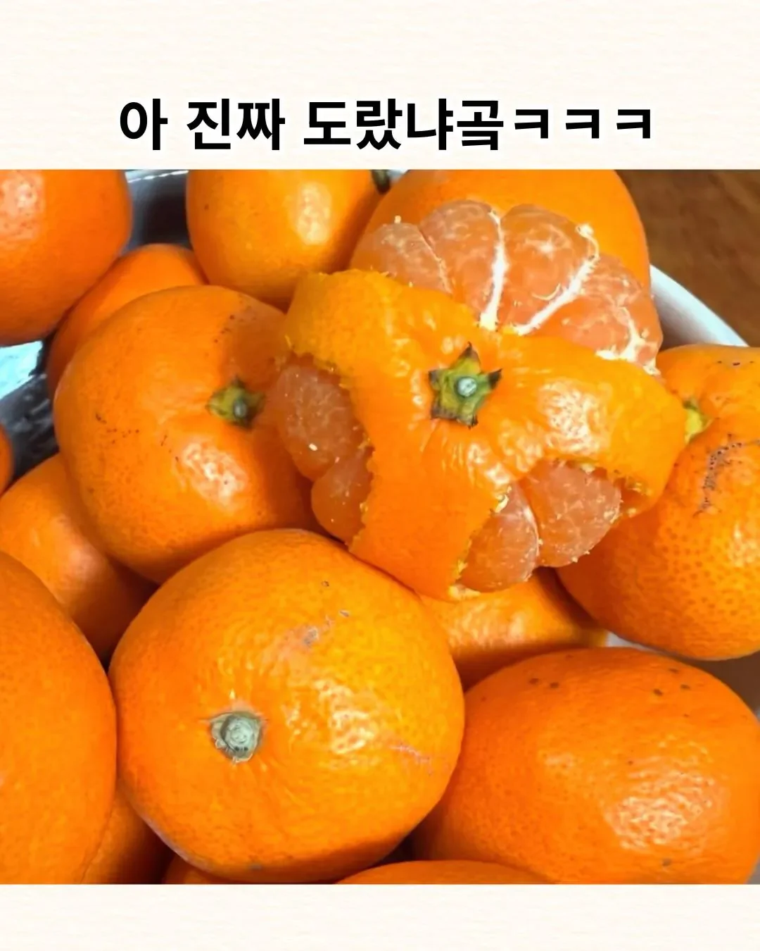 20260630181646_oQy6SlpyF0.webp