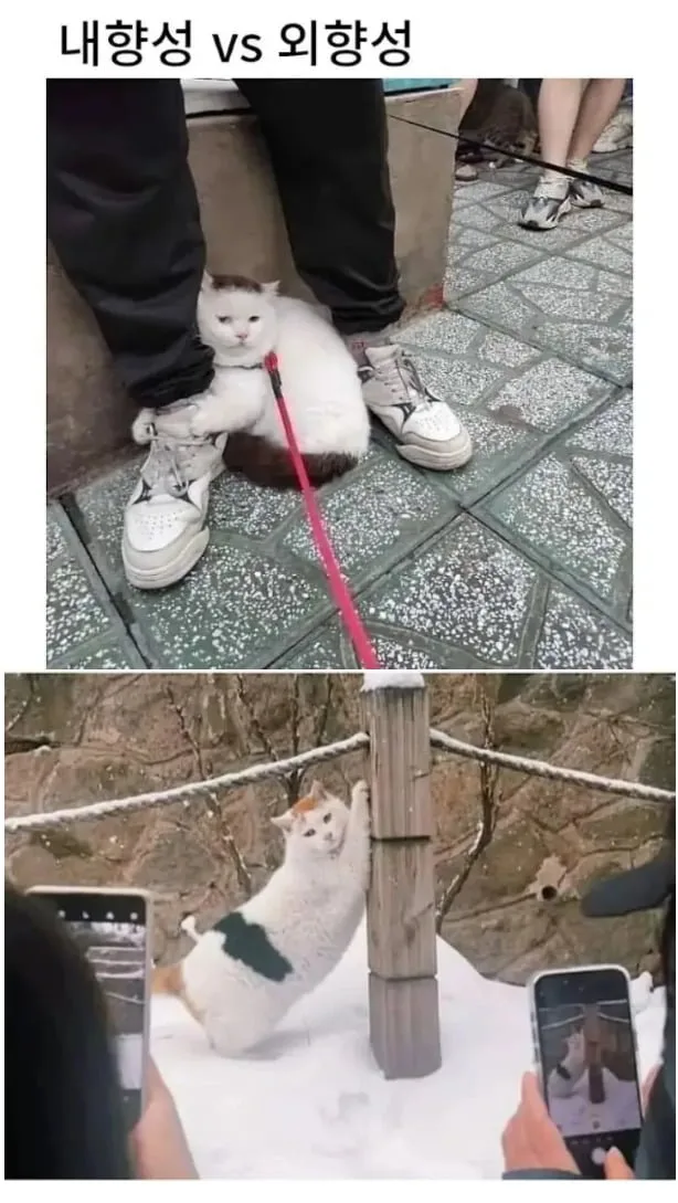 20260313053615_gQLx5GL6La.png
