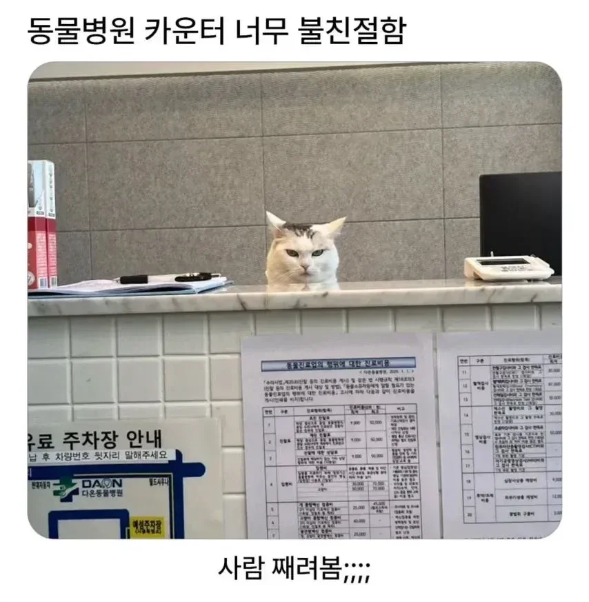 20260324082036_COzHRZrDQP.webp