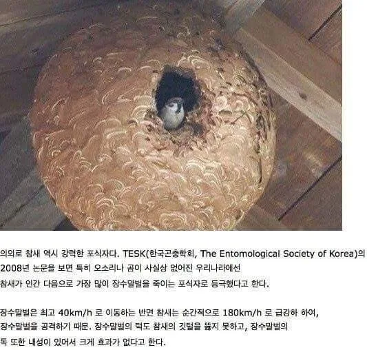 20260311203515_LLZT1ikmIc.jpeg