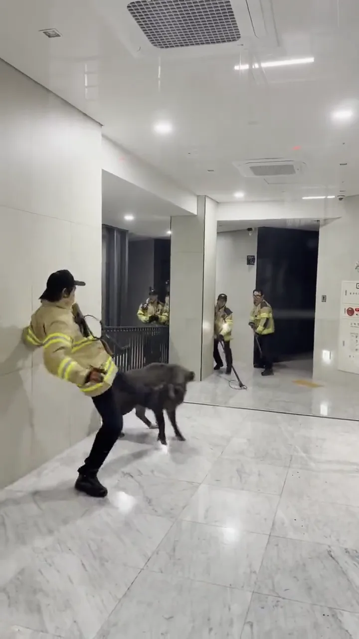 videoframe_9306.png