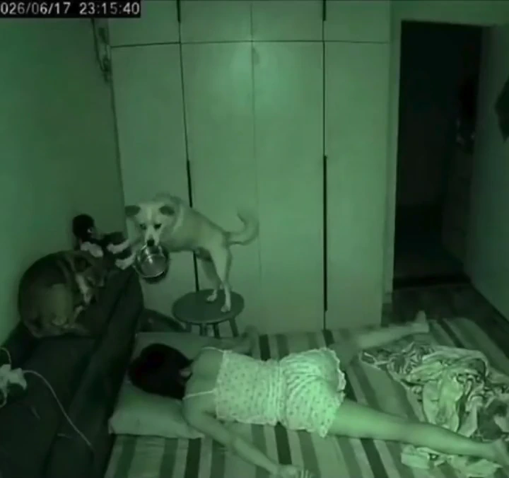 videoframe_4587.png