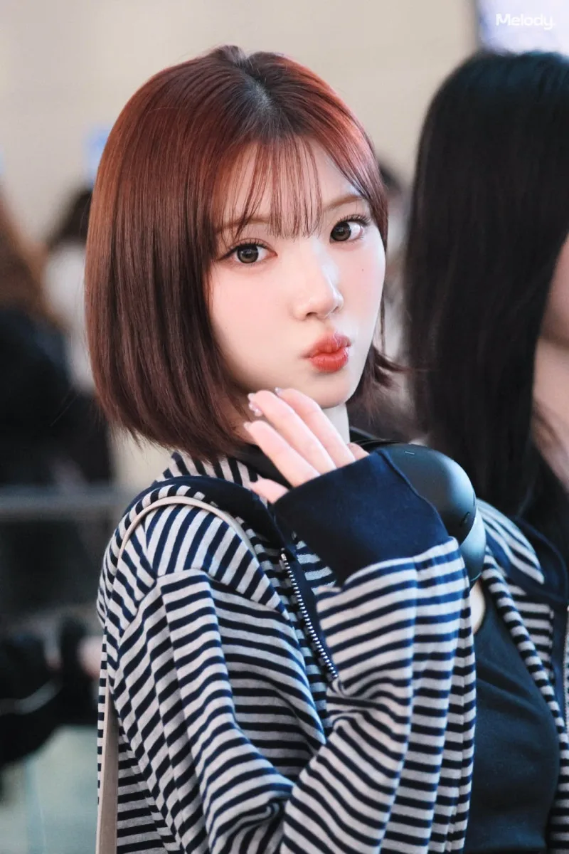 thumb-9b3dcb0c90cf07b6e6ba142e8daecac5_RJXi9P5b_5be55a7209bbf90156947ae0a999b7495bfc96c5_800x1200.jpg