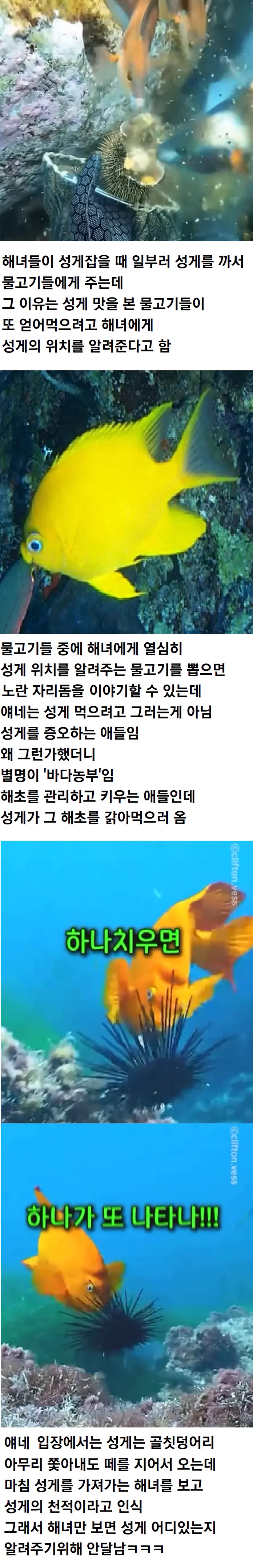 20260324070814_TqMIZx6FgL.webp