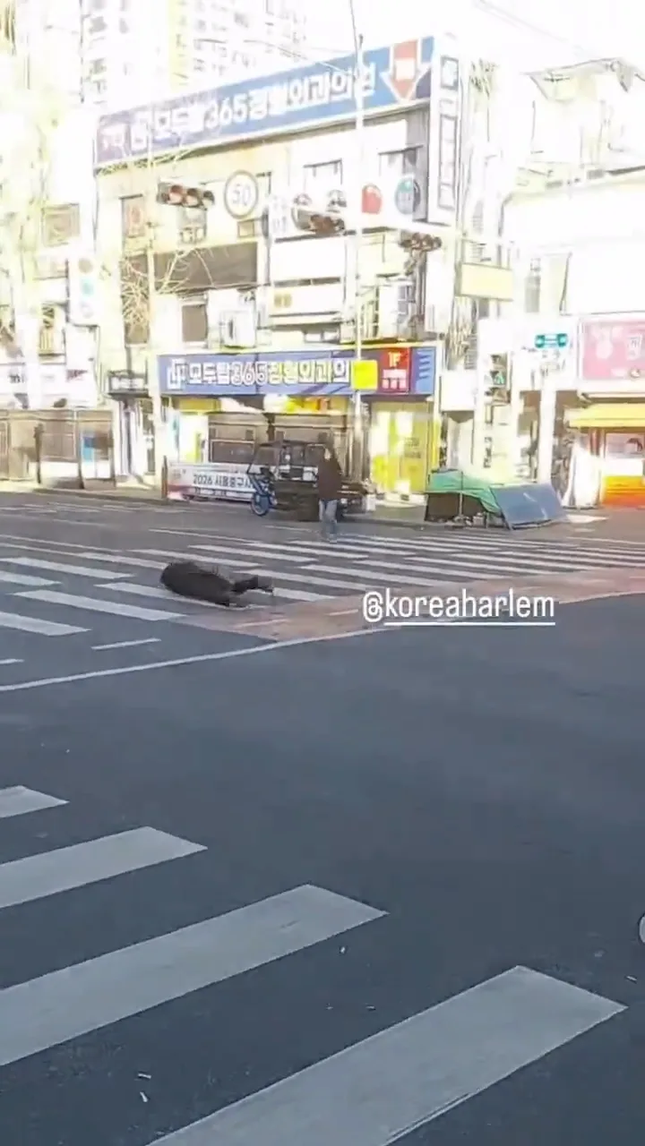 videoframe_3096.png