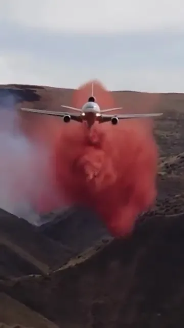 videoframe_24585.png