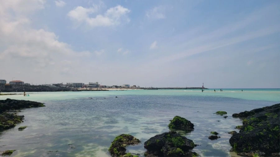 900w_20260618125301_e4lck69Pvc.jpg