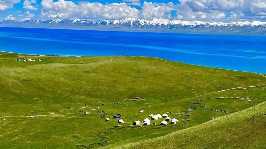 900w_20260629113334_d8h929qNK8.jpg