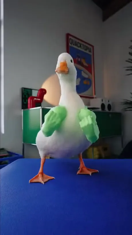 videoframe_13967.png