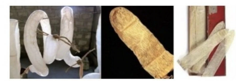 900w_20260711180403_n7ghtIB6sx.jpg