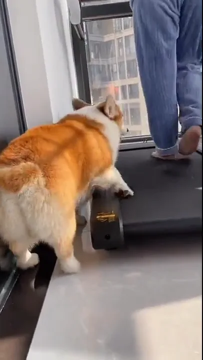 videoframe_2244.png