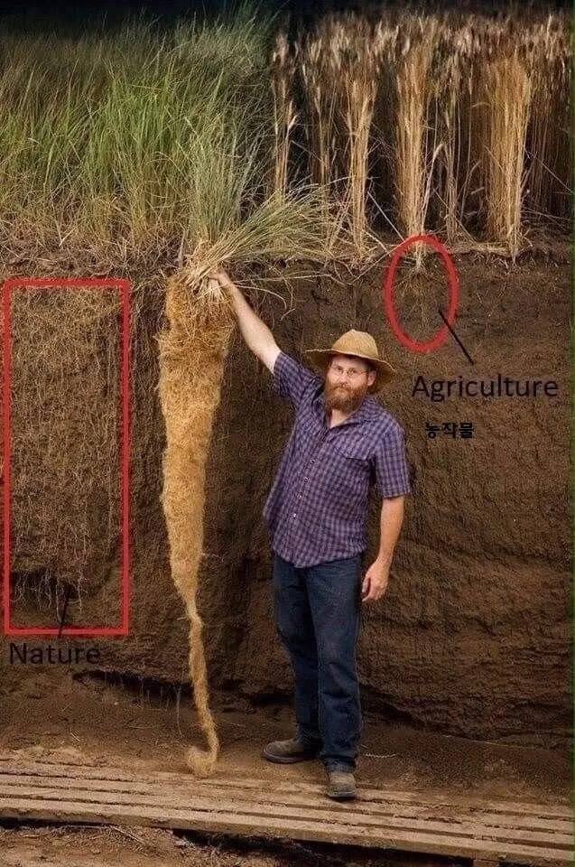20260321055243_pyVRU6hP6z.jpeg