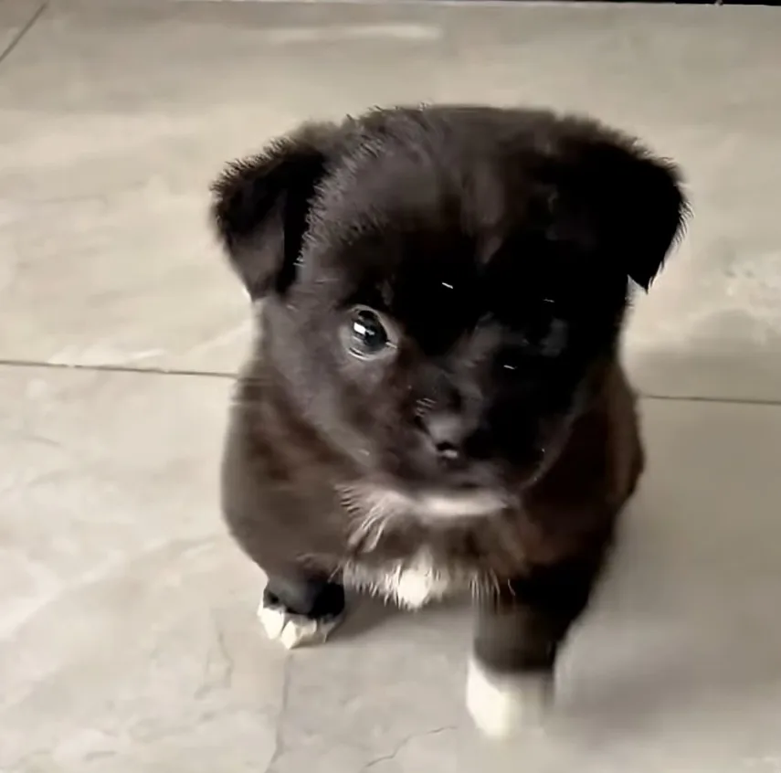 Screenshot_20260414_214934_YouTube.jpg
