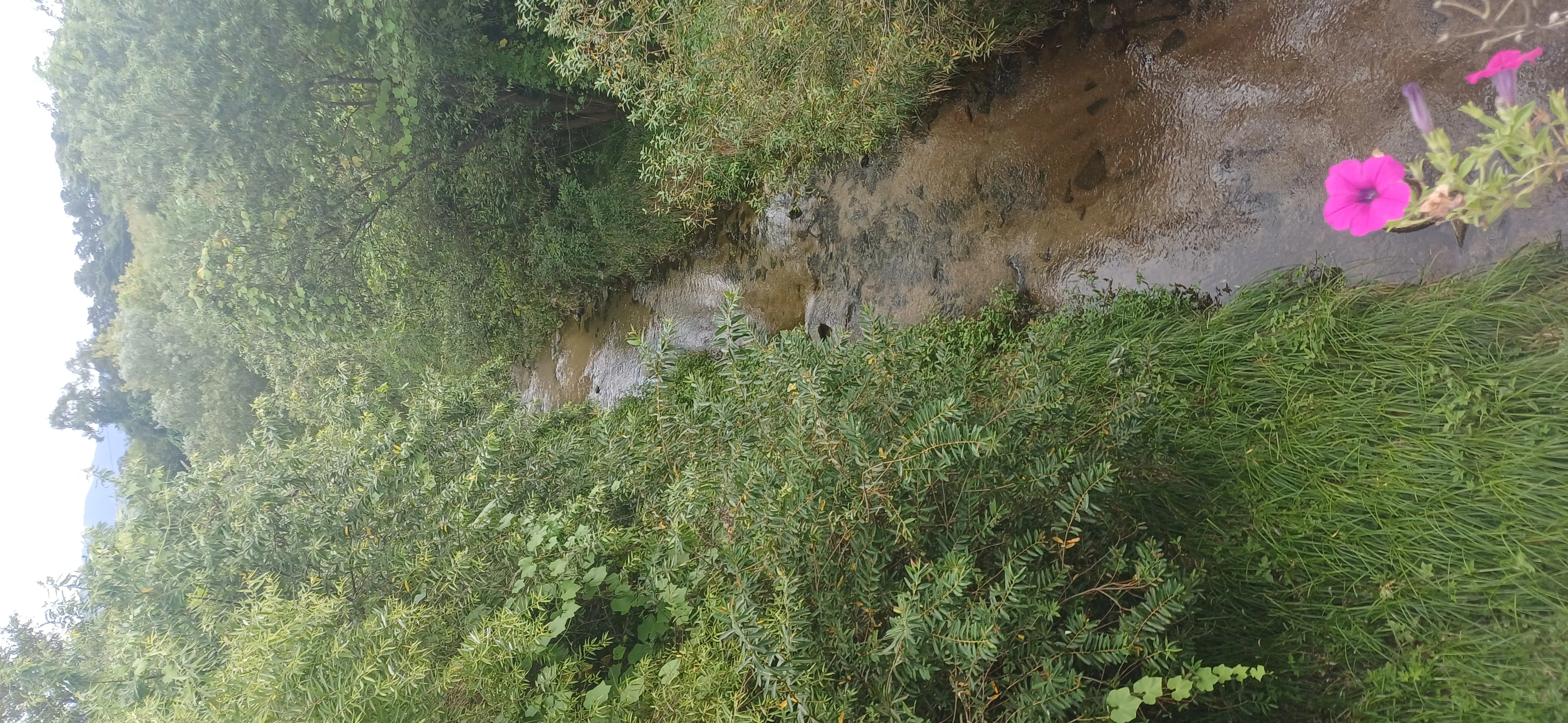 20260909_110951.jpg