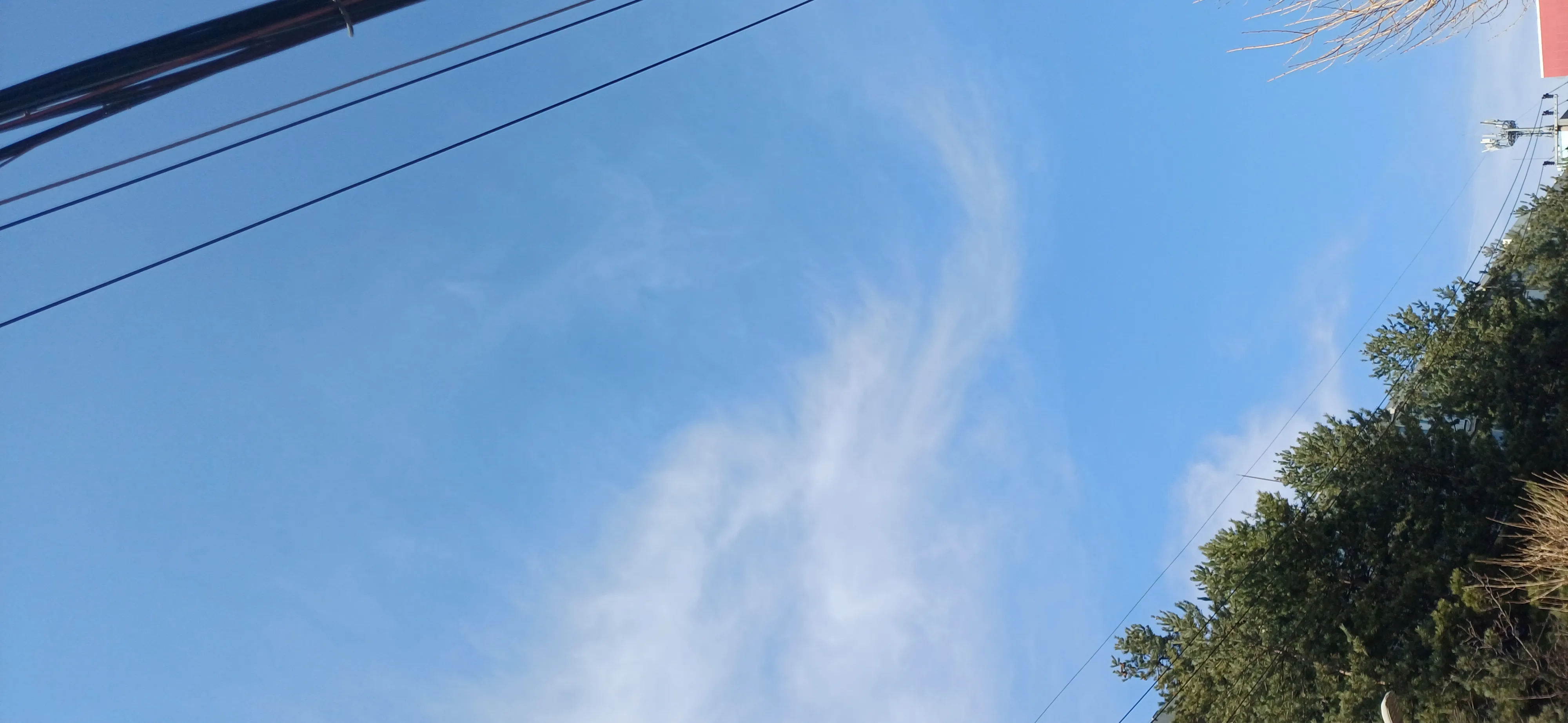 20260319_153202.jpg