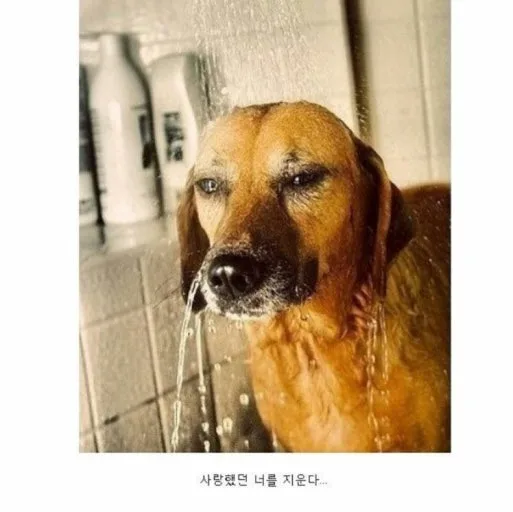 다운로드 (6).jpg