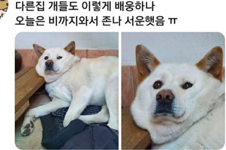 다운로드 (3).jpg