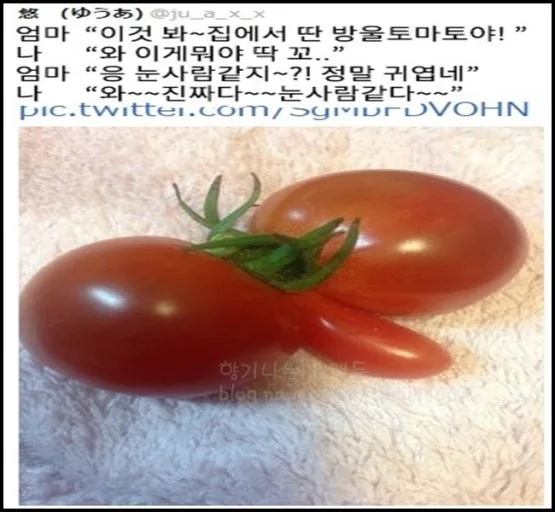 다운로드 (20).jpg