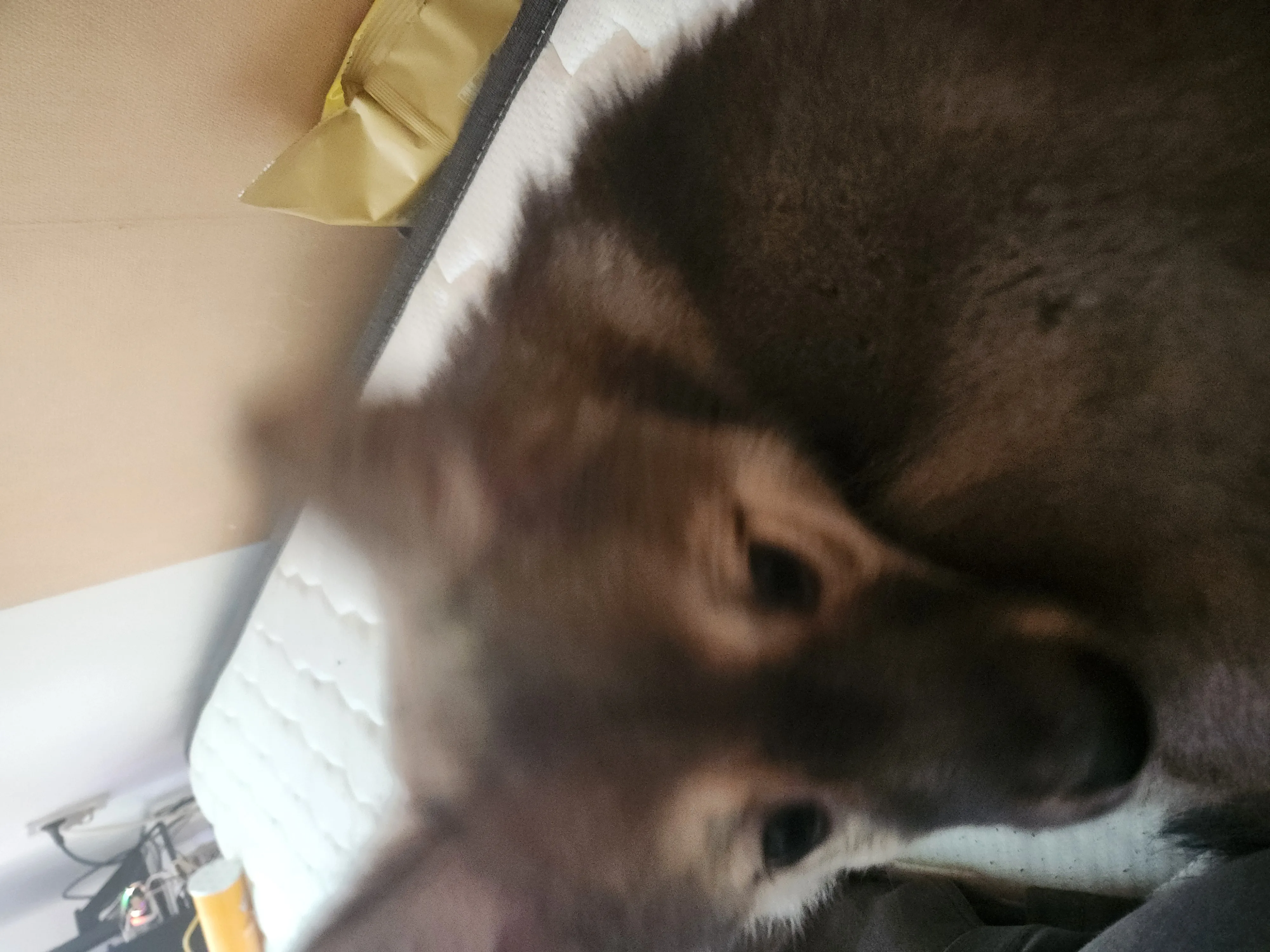 20260418_152950.jpg