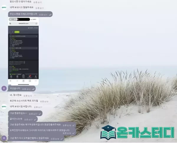 4.webp