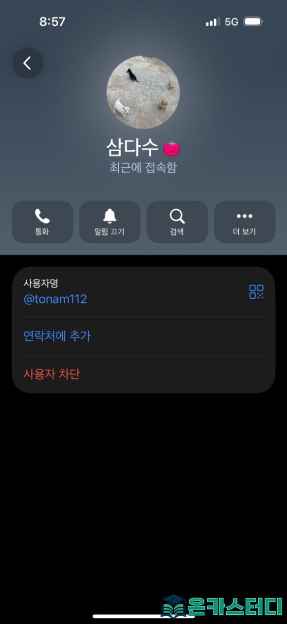 디나인4.jpg