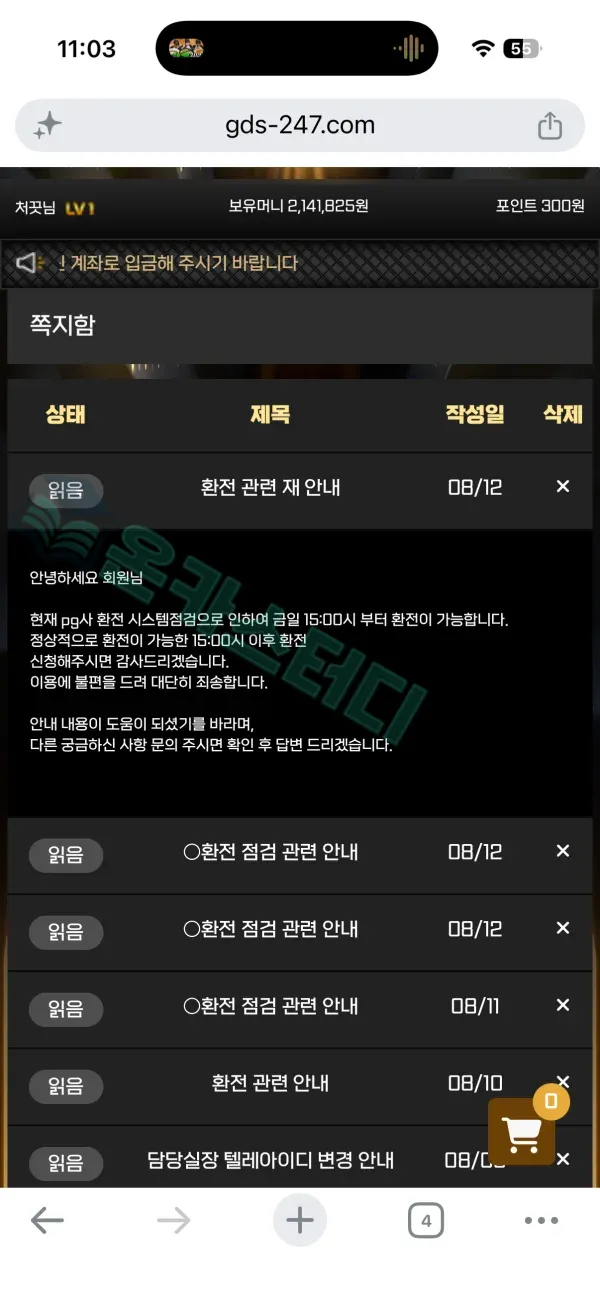 555.webp